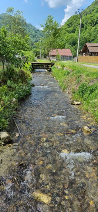 Teren intravilan în munții Apuseni jud Alba/Cluj