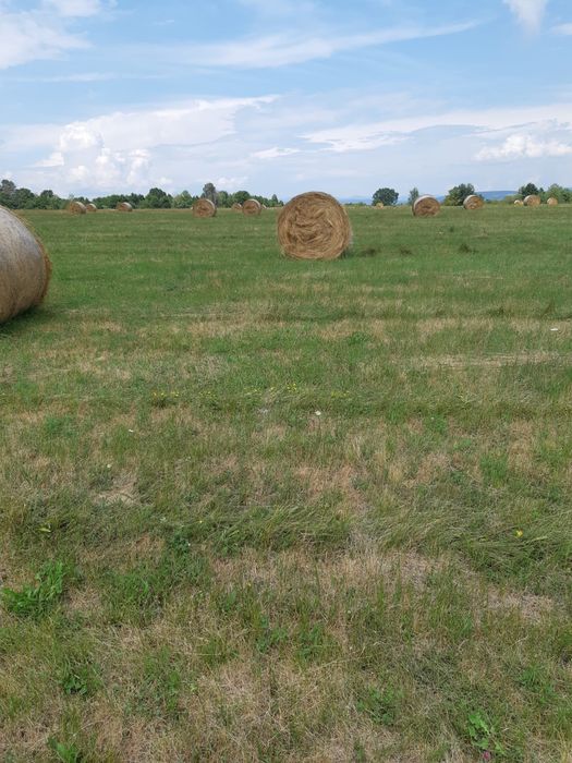 Baloti de vanzare