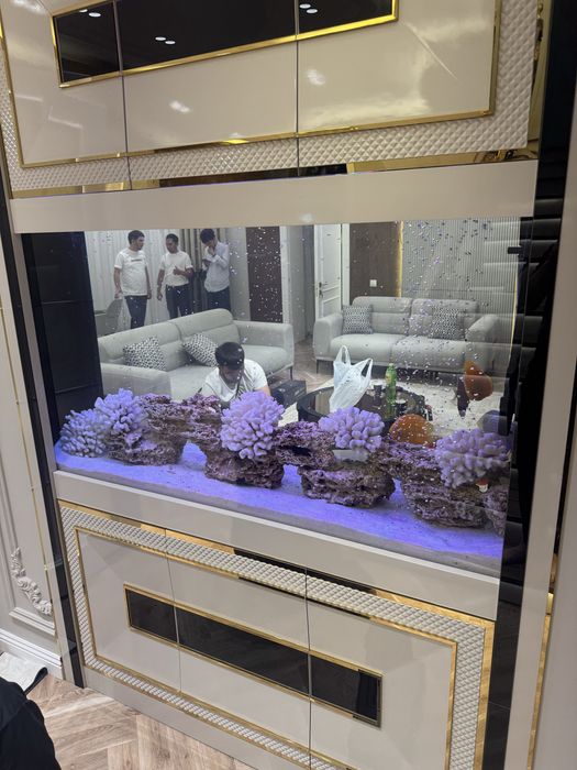 Akvarium zakaz olamiza