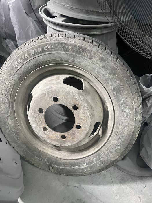 Газелдің аяғы сатылады