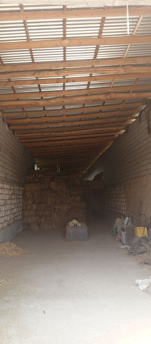 Продается участок - ферма