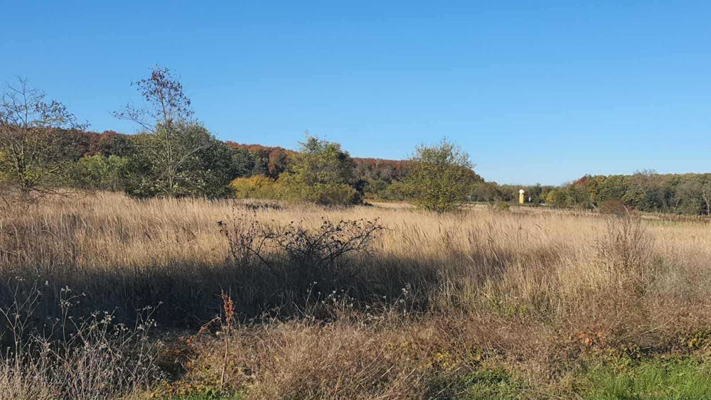 Нива 1 дка с. Горун на 200м от международен път Варна - Дуранкулак.