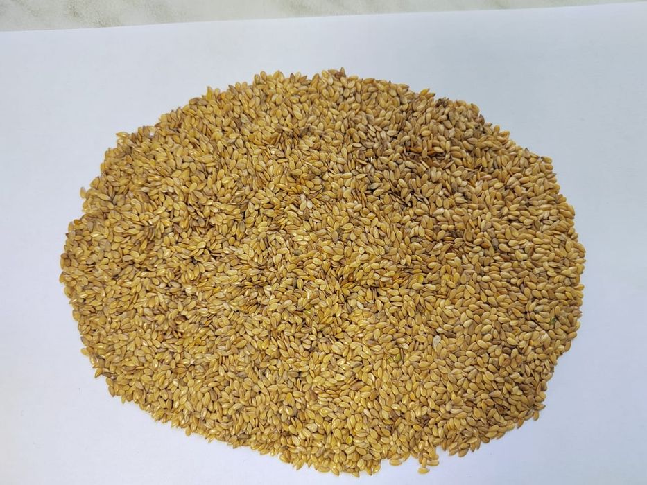 Пшеница.Платный чат! Все корма.