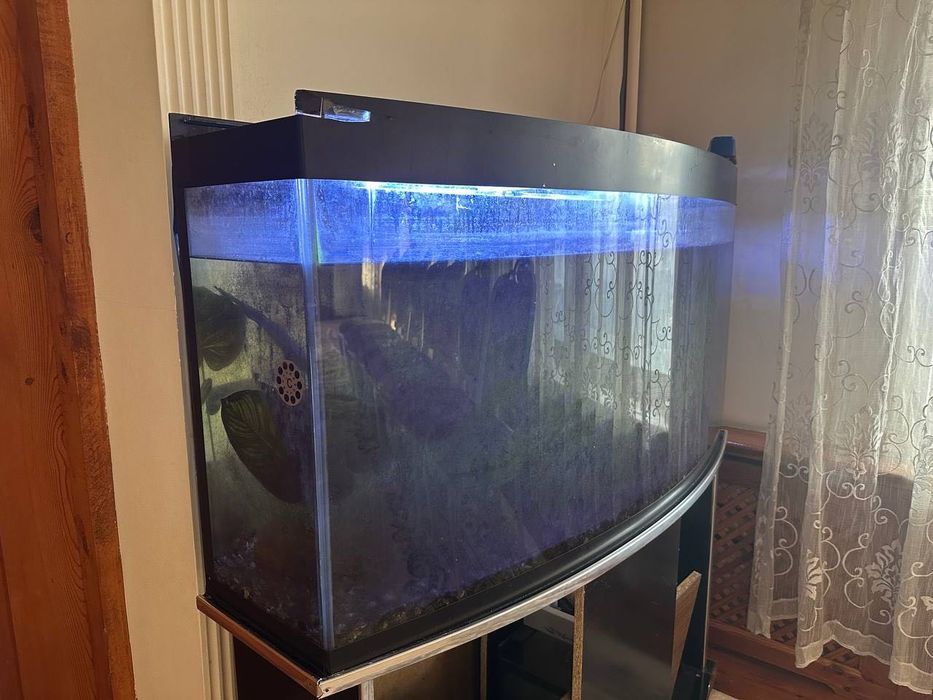 Продается аквариум