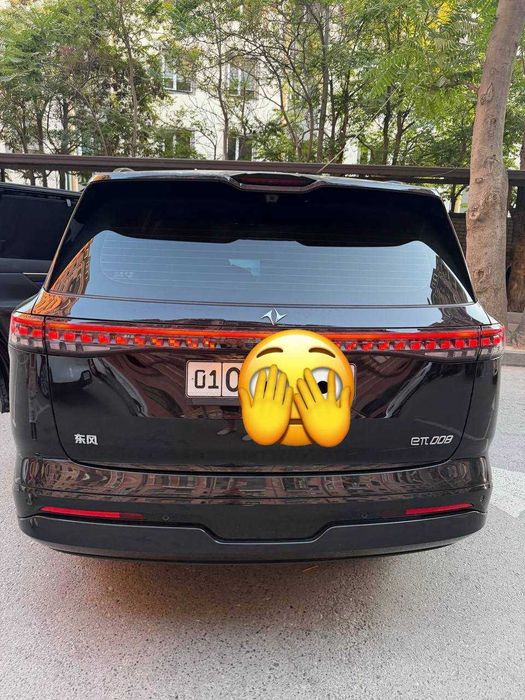 Dongfeng 008 gibrid
