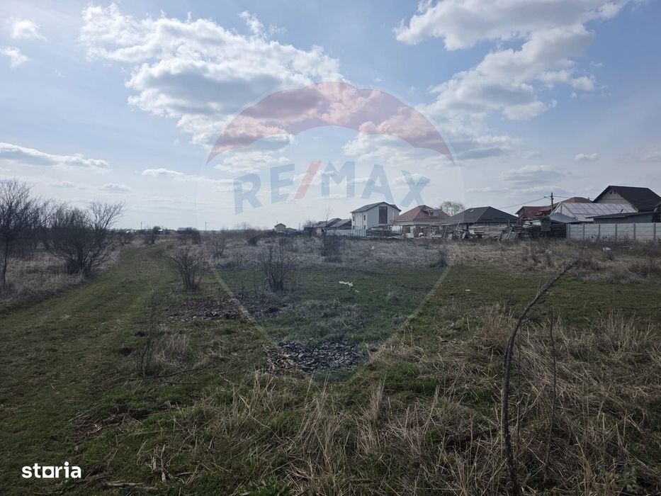 Loturi teren 500 /1000 mp Dumbraveni Balotesti utilitati