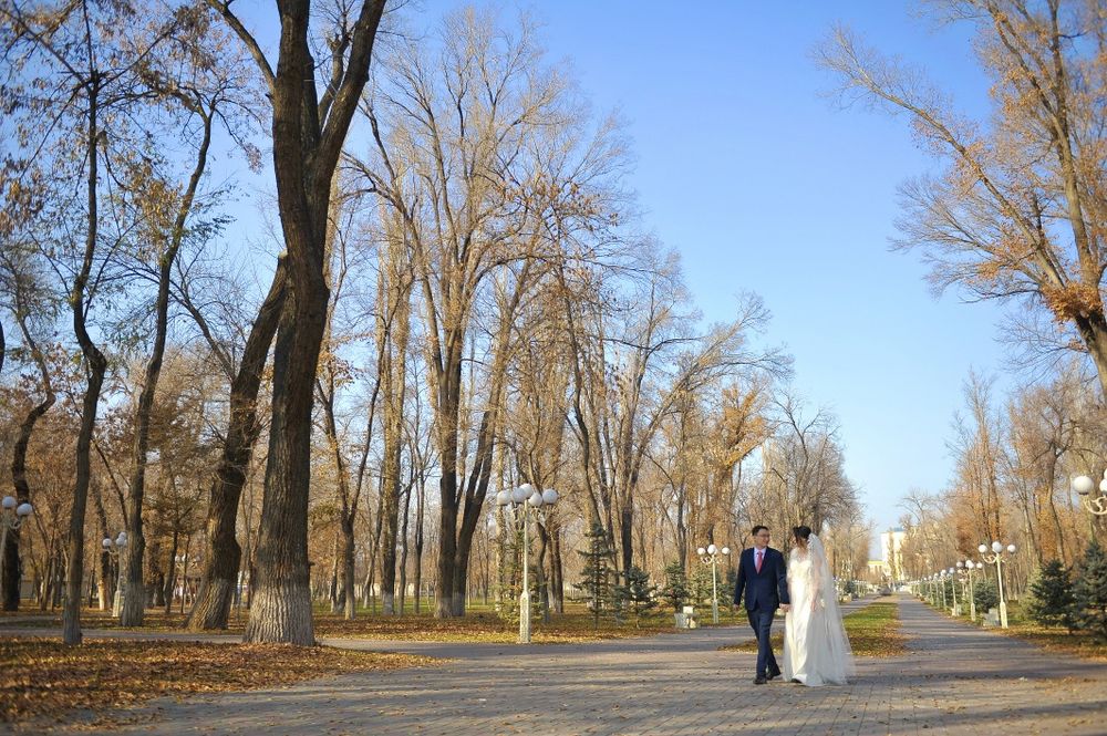 Профессиональный фотограф