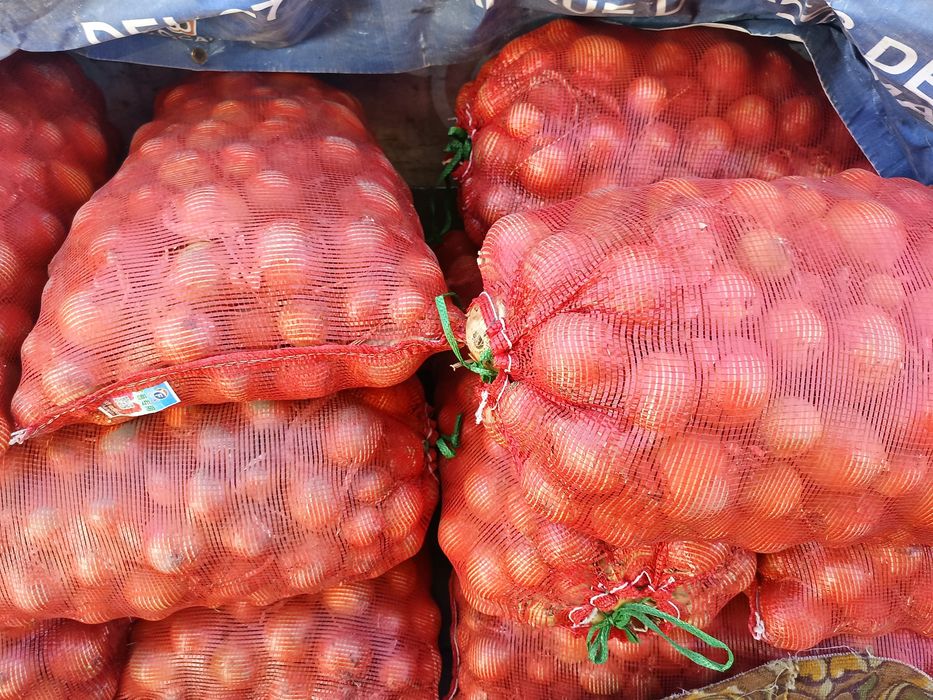 Продам лук репчатый местный