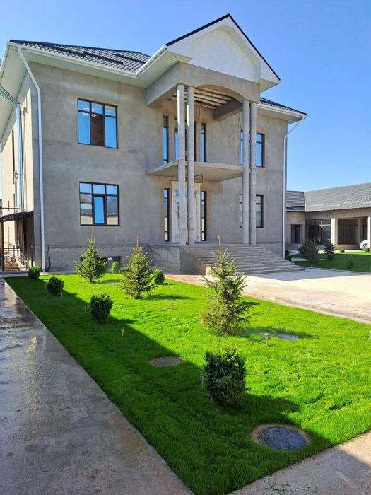 Посотка газона с поливом