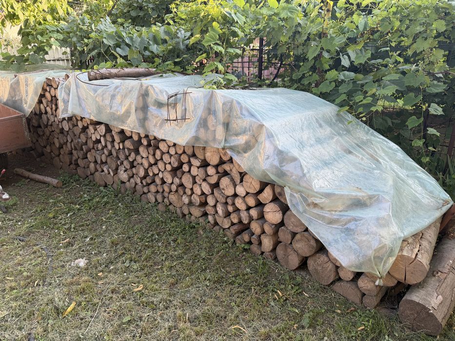 Lemn de foc - Frumusani