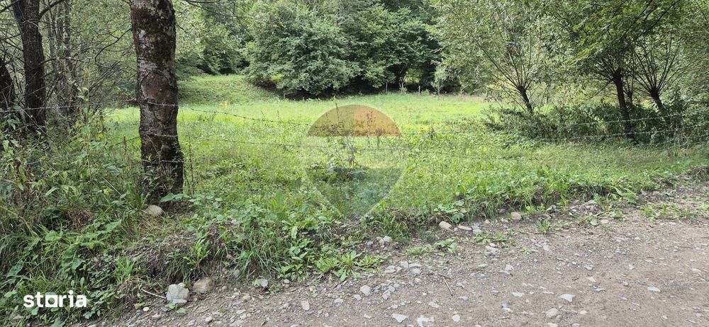 Teren de vis de 2.800 mp pe Valea Tărcăului – Cu lac natural și pădure