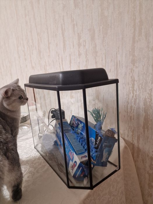 Продаю Аквариум, бу