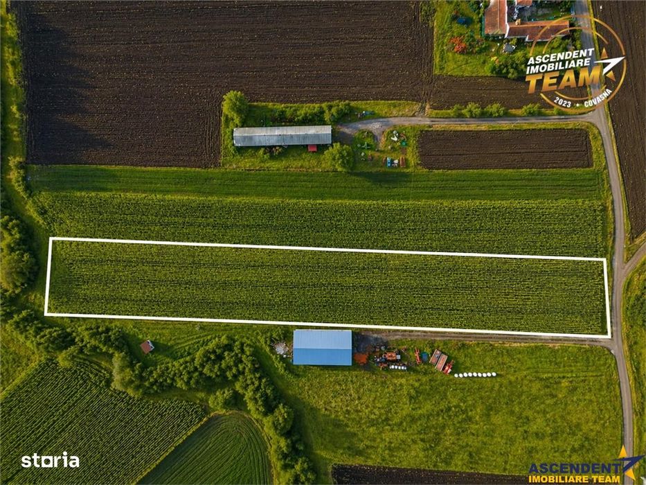 Film! Teren de 5.800 mp, Dobolii de Jos, Covasna