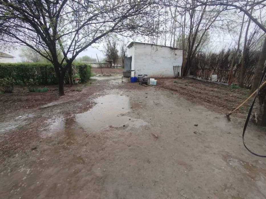 Tezda uy sotiladi – Bo‘ka tumani