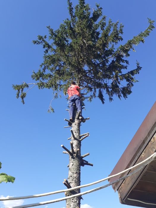 Tai iarba/defrisez/cosesc/erbicidez terenuri