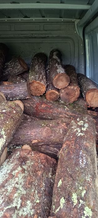 Lemne de foc esență tare