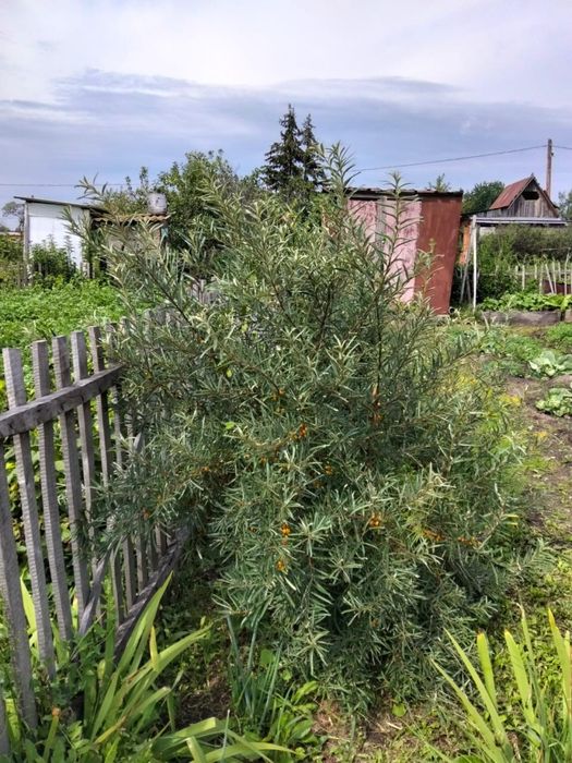 Продам земельный участок