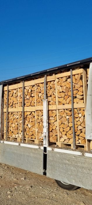 Lemne de foc esență tare fag