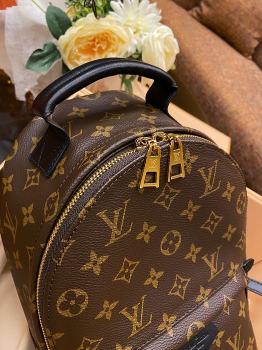 Rucsac ghiozdan Louis Vuitton Palm Springs, 21x29cm, tip Premium