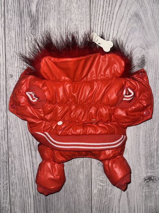 Одежда для Йоркширского терьера