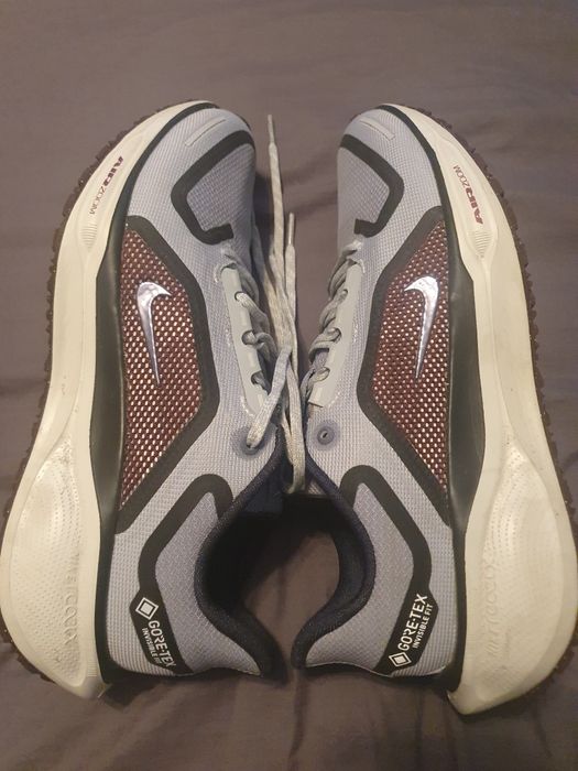 Nike pegasus goretex 43