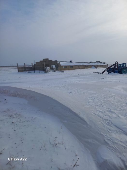 Продам крестьянское хозяйство