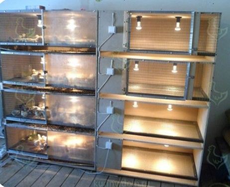 Продам и изготовлю клетки для циплят кроликов и кур