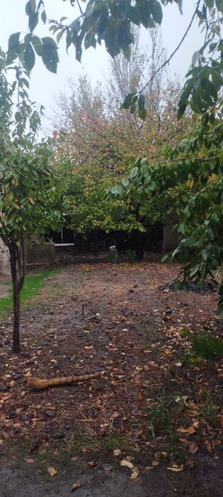 Uy sotiladi parkentni sentrida