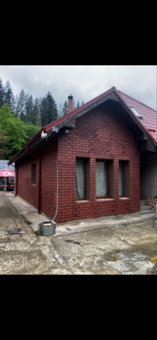 Panou decorativ caramida aparenta