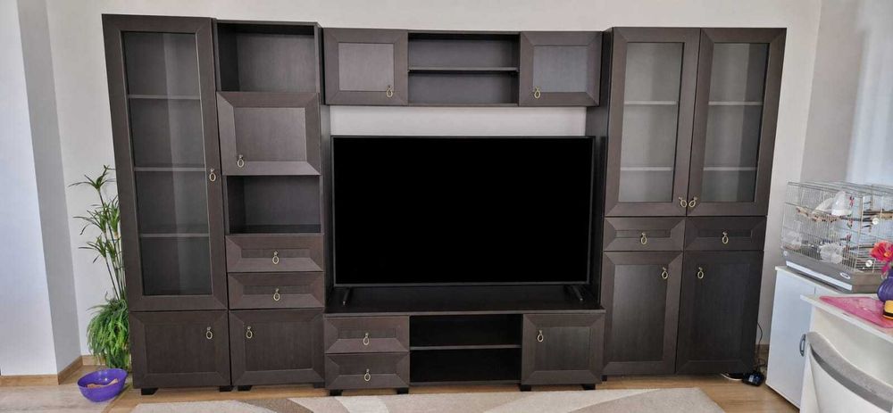 Mobila Living Casa Rusu