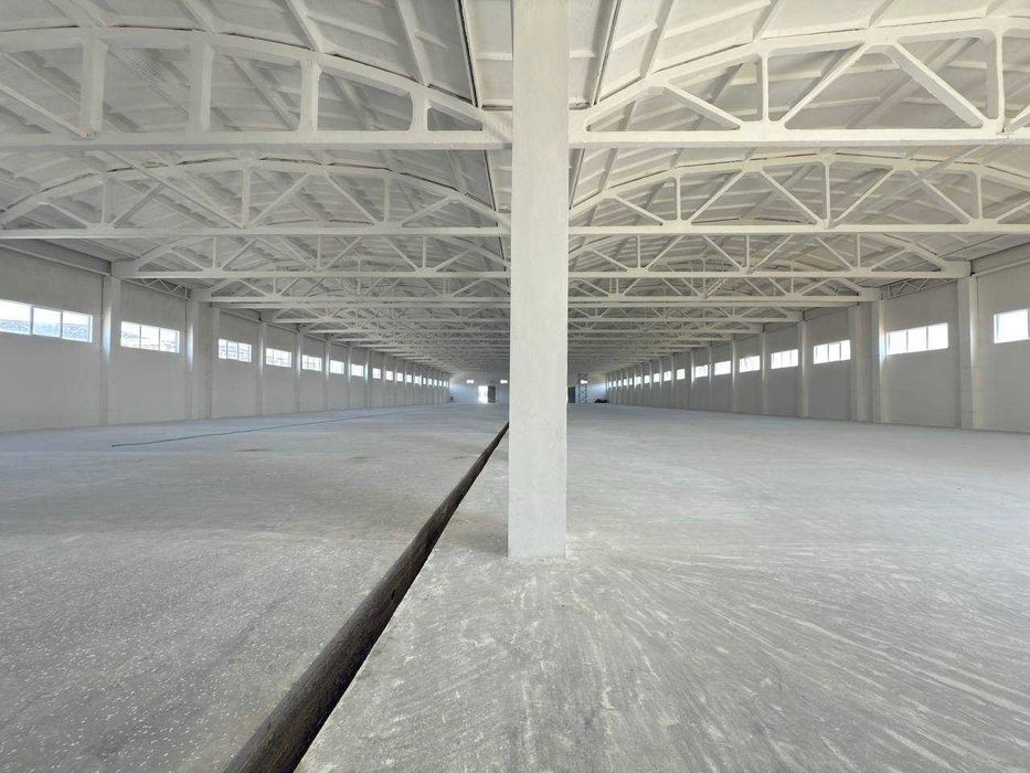 ХХХ аренда 6000 м2 Сергели цена 5 уе