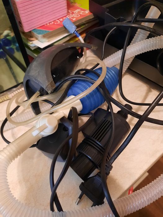 Тритонов продам в комплекте