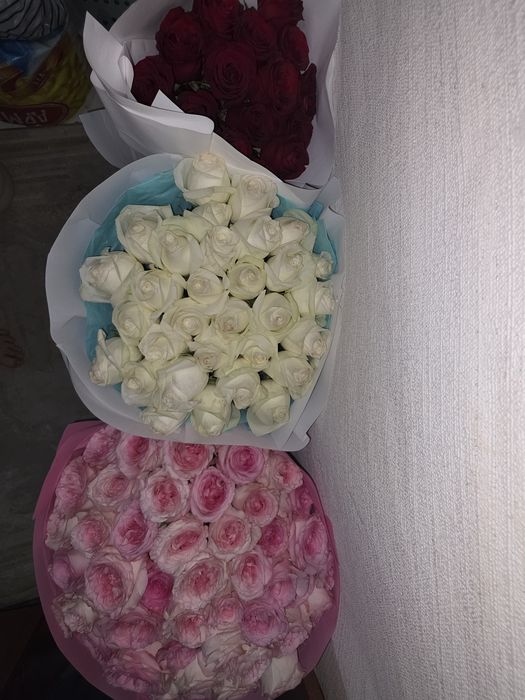 Продам цветы живые