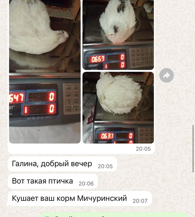 Комбикорм «Мичуринский» полнорационные корма