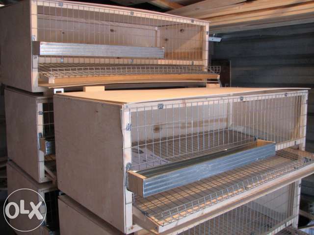 Клетки для перепелов