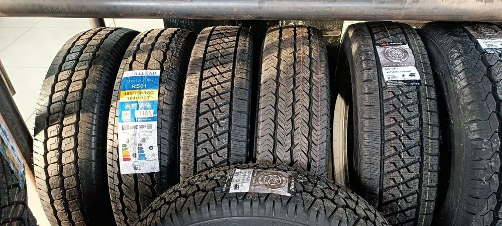 Lassa competus A/T 3