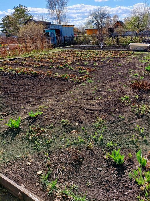 Продам дачу Кривозёрка