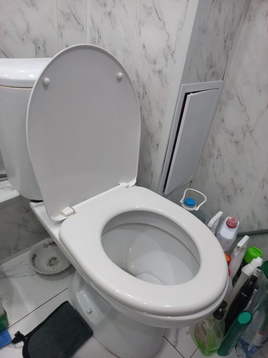 Продам унитаз в хорошем и рабочем состоянии.