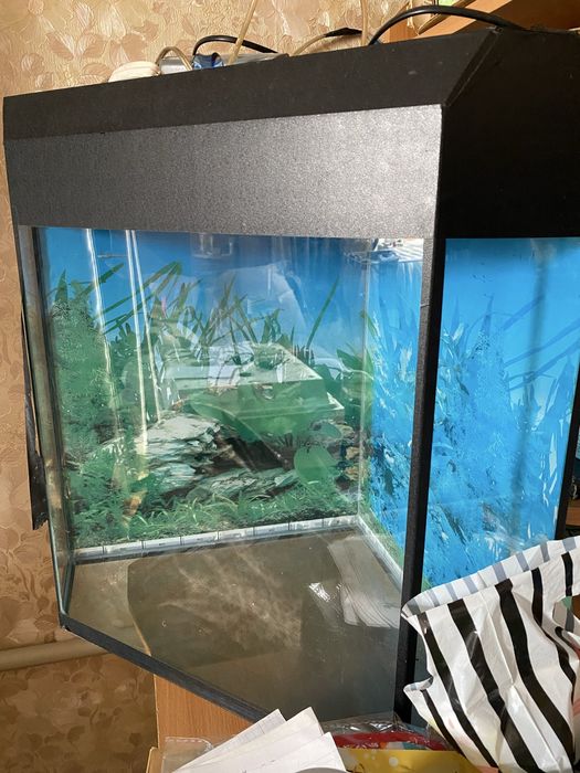 Продаю аквариум