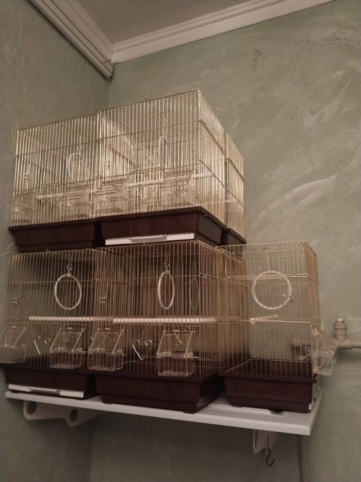 Клетки на продажу