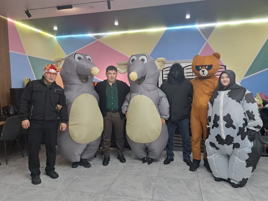 Воздушный костюмы на Прокат