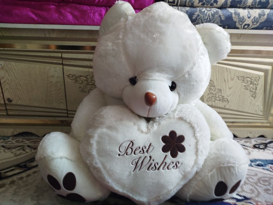 Katta ayiq yangi umuman ishlatilmagan