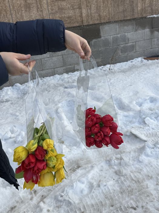 Тюльпаны в розницу
