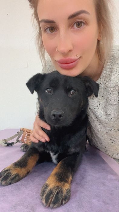 Отдам стерилизованрую девочку подростка