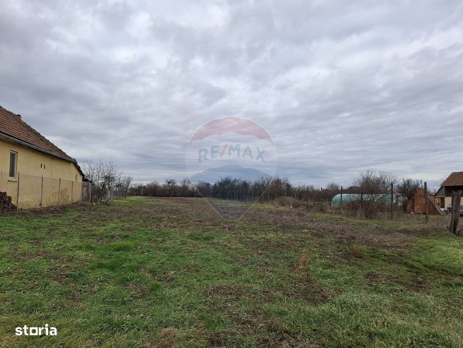 Teren intravilan 1,241mp Frumușeni, Arad