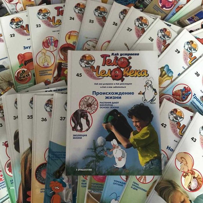 книги по анатомии человека