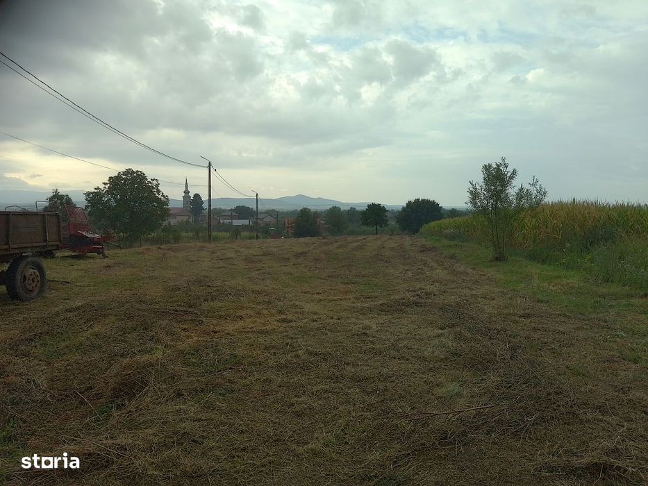 Teren intravilan de vanzare