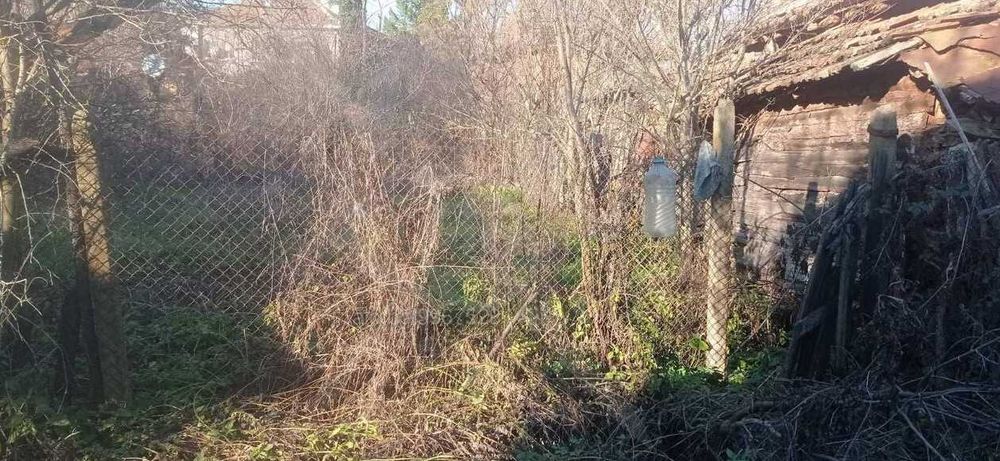 Парцел в Голямо Буково 74716