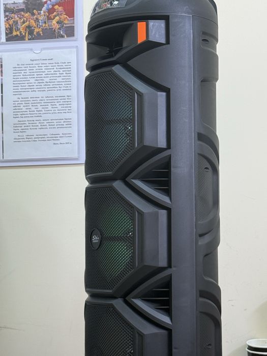 Калонка с микрофоном