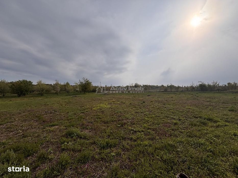 Teren pe colt in Paleu – 800 mp ideali pentru casa ta intr-o zona lini